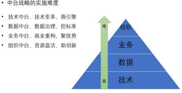 阿里中臺架構學習指南 數據處理關鍵點與常見誤區
